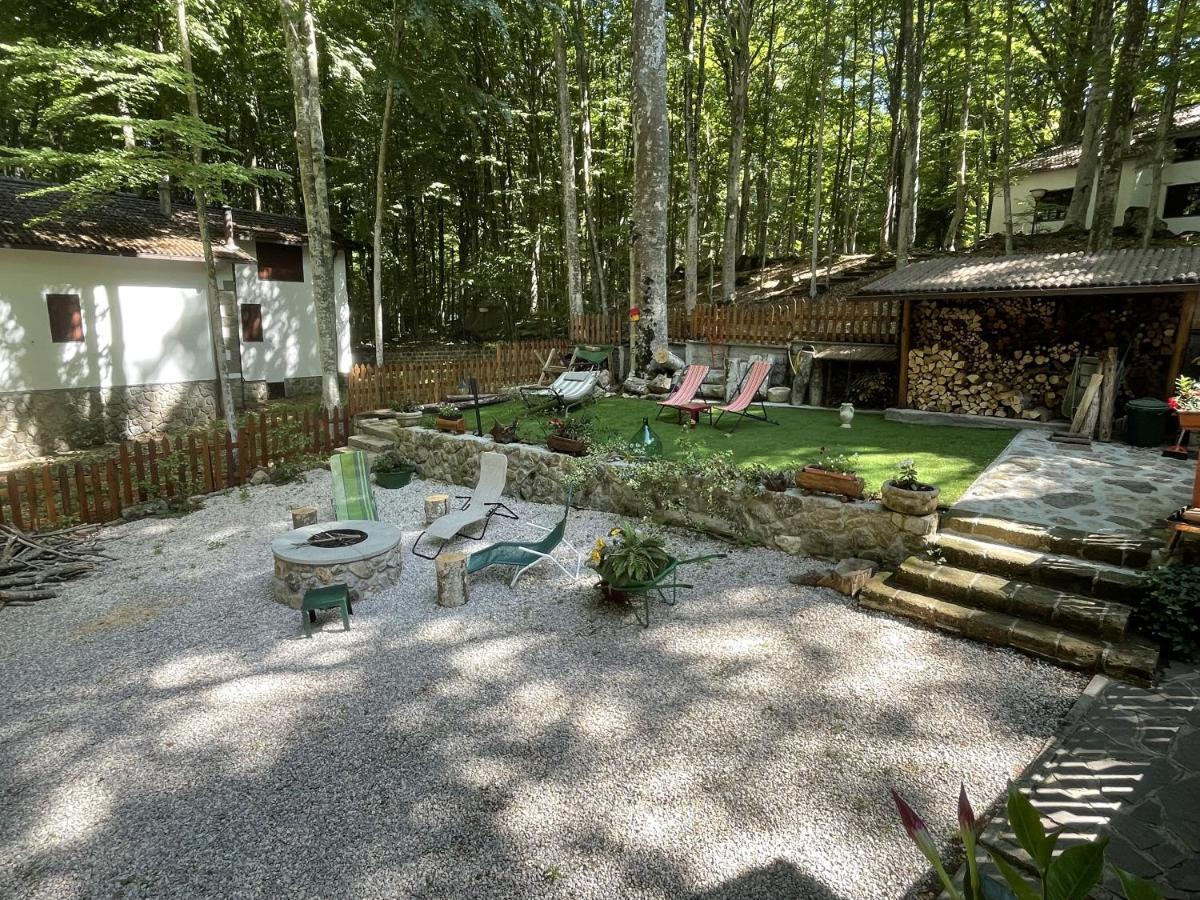 Chalet I Folletti Apartman Abbadia San Salvator Kültér fotó