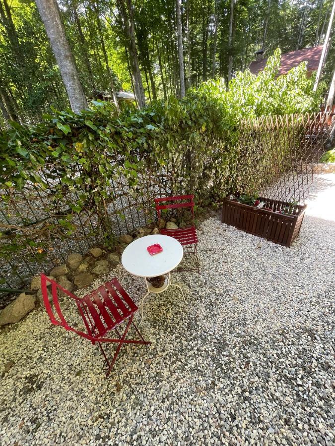 Chalet I Folletti Apartman Abbadia San Salvator Kültér fotó