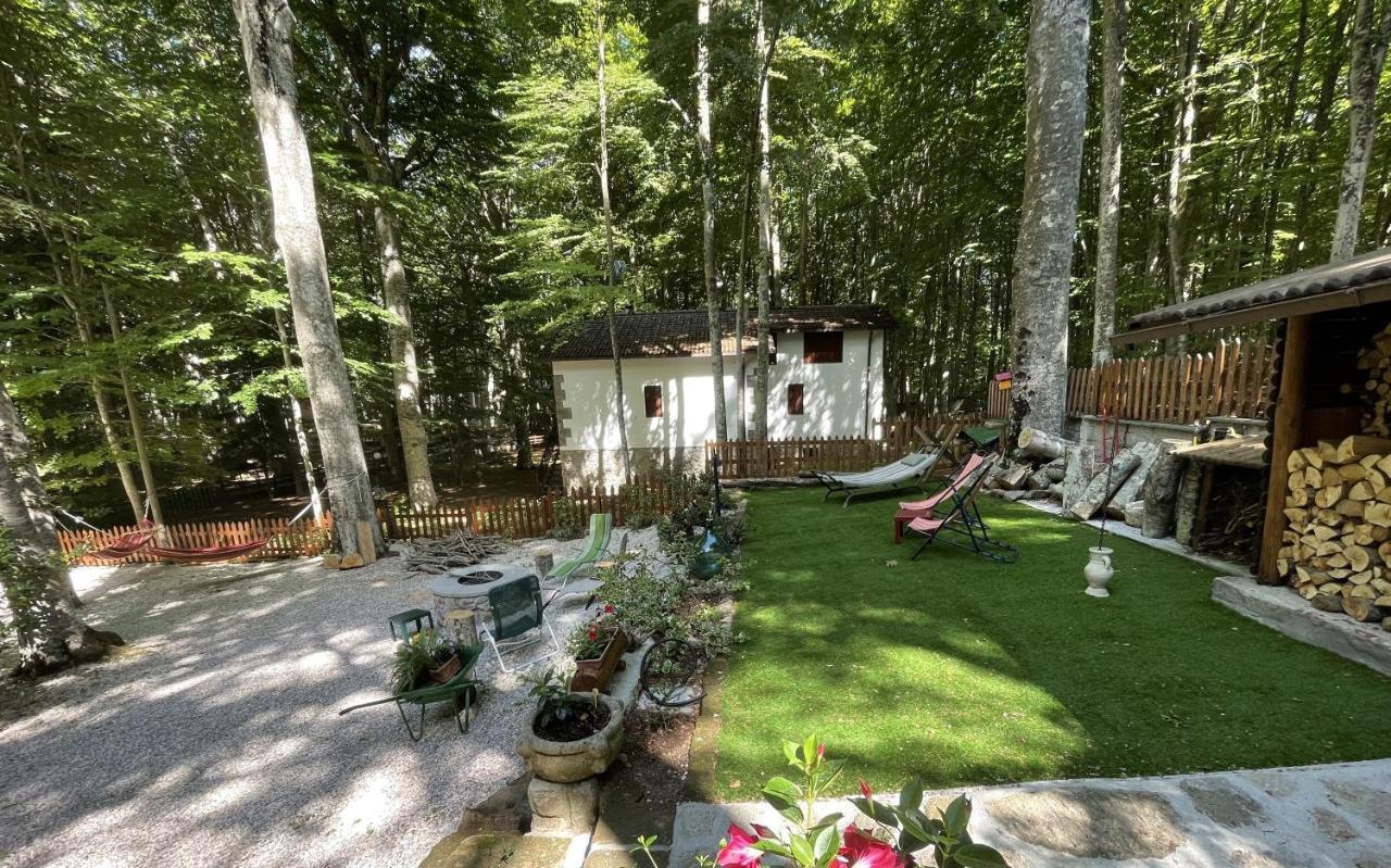 Chalet I Folletti Apartman Abbadia San Salvator Kültér fotó